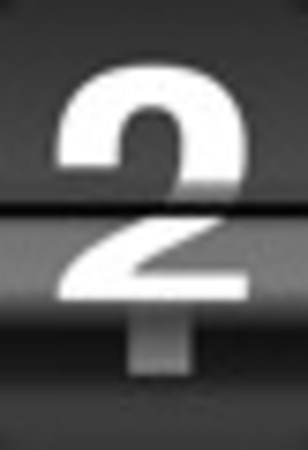 Click 24" (600mm) Wire Whip/Bird Nest Remover