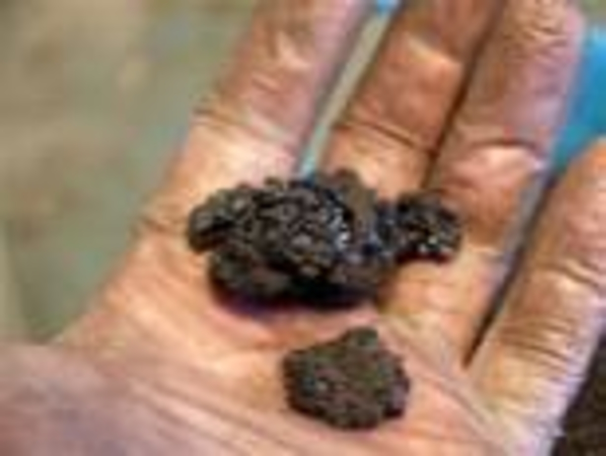 Click 24" (600mm) Wire Whip/Bird Nest Remover