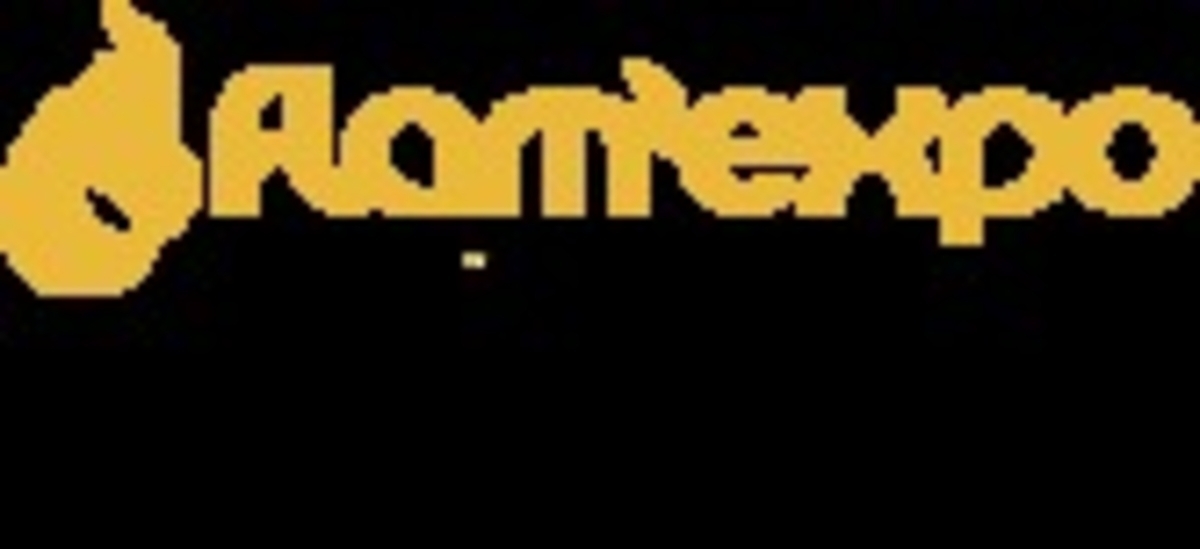 Click 24" (600mm) Wire Whip/Bird Nest Remover