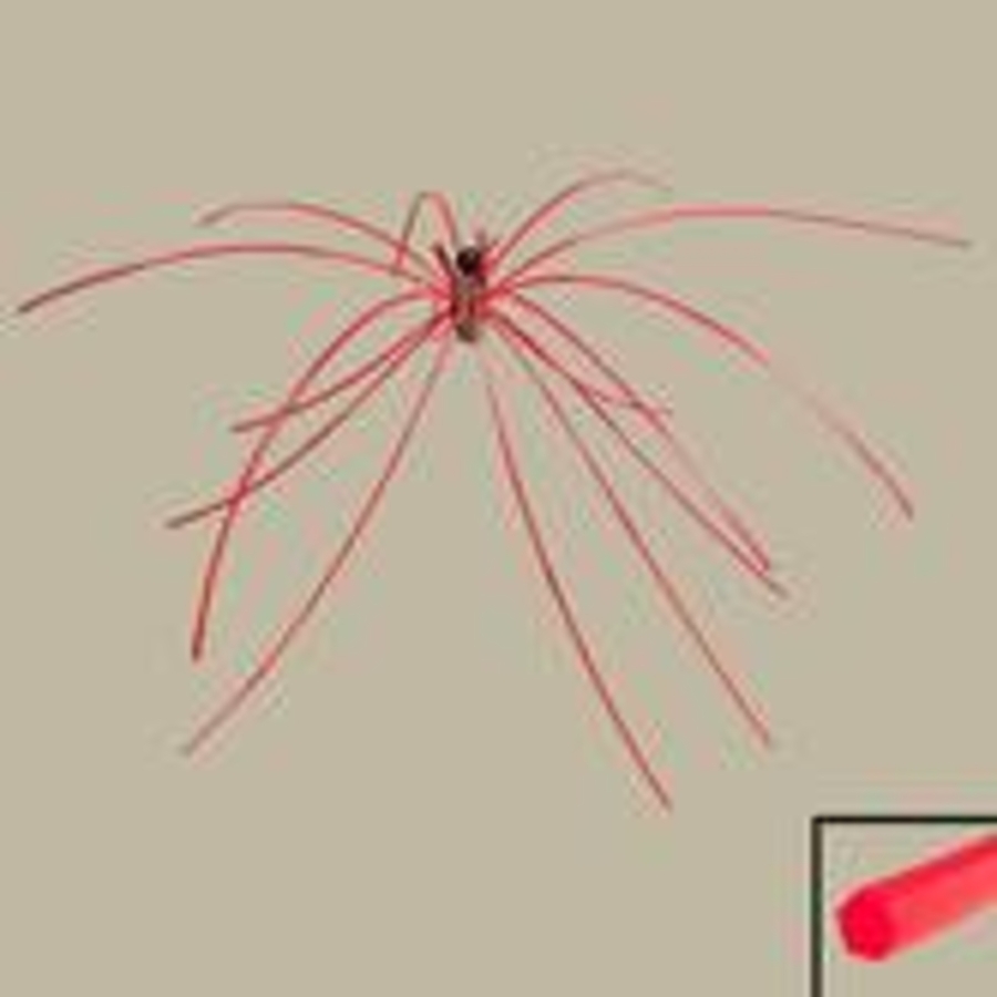 Click 24" (600mm) Wire Whip/Bird Nest Remover