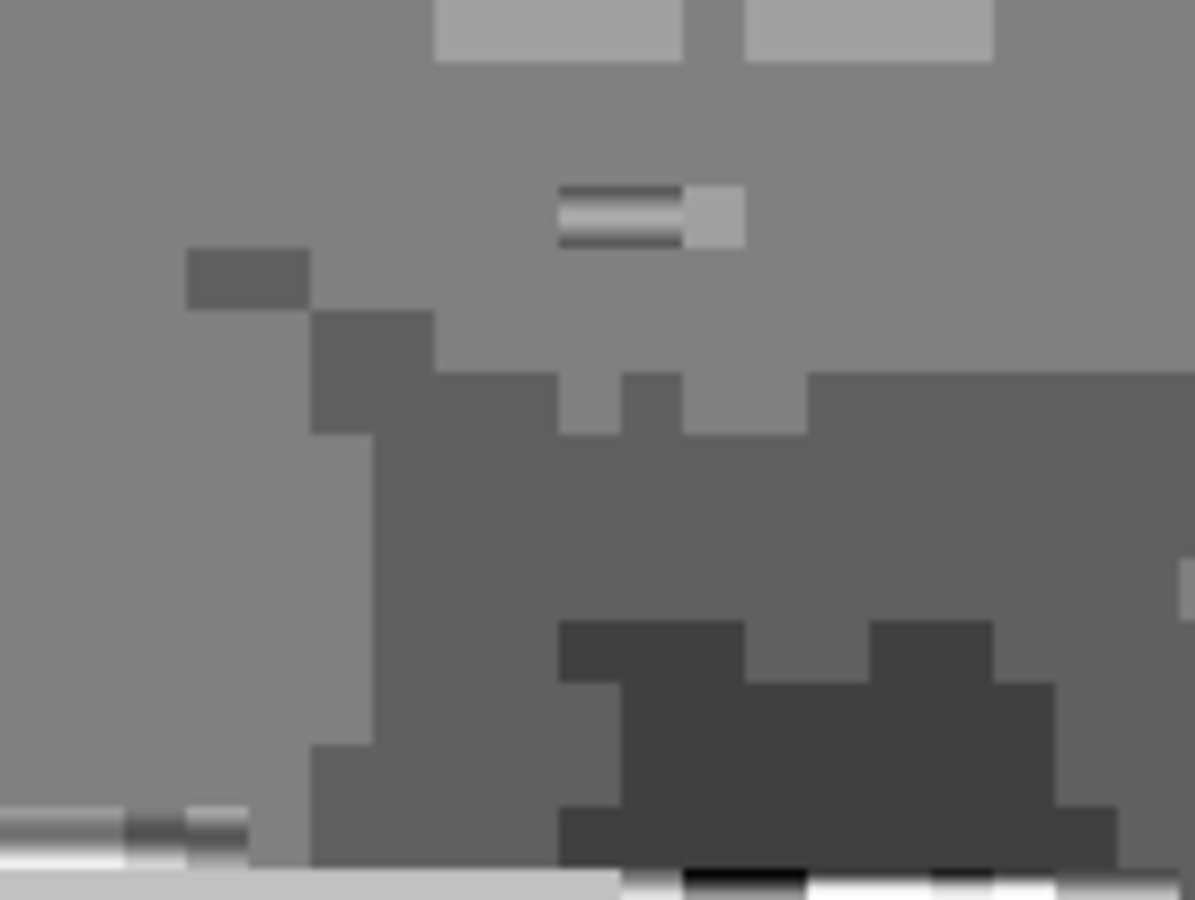 Click 24" (600mm) Wire Whip/Bird Nest Remover