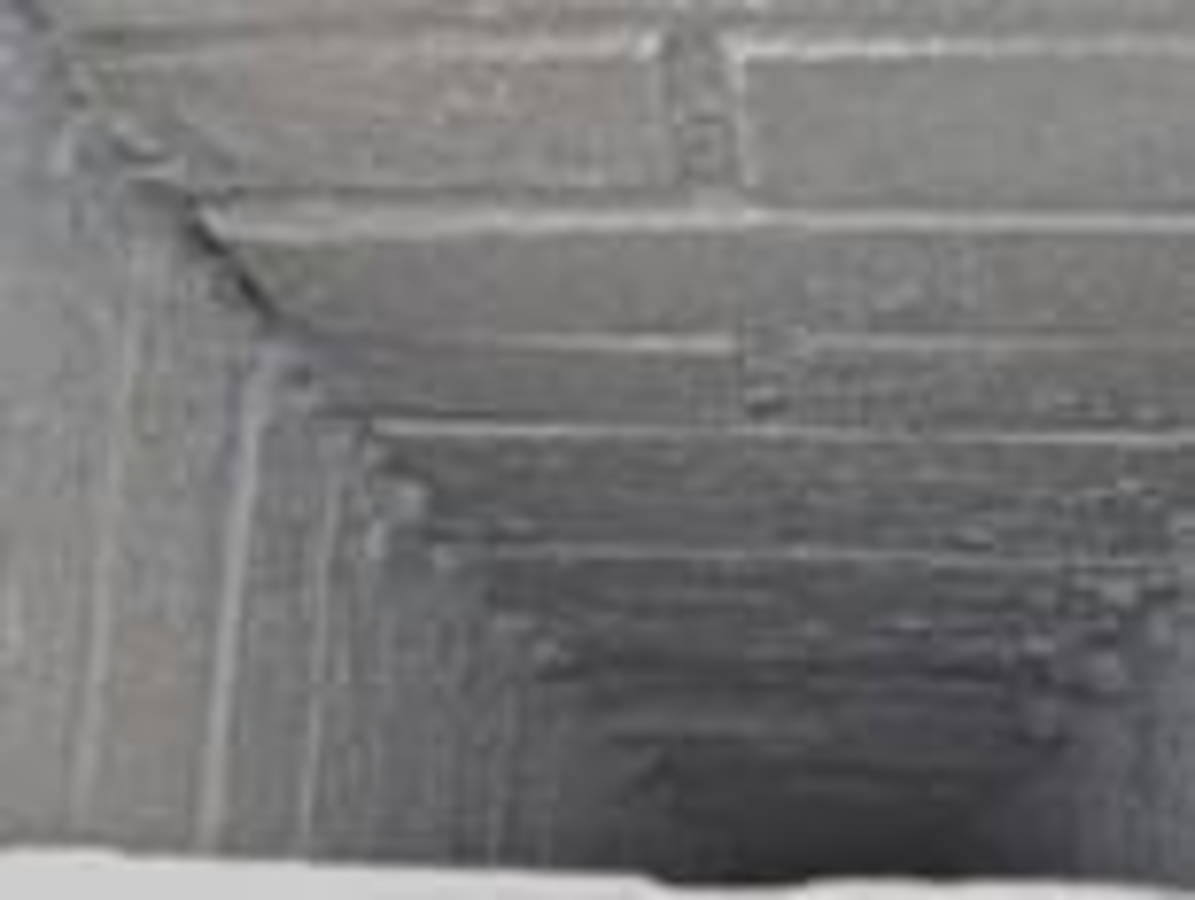 Click 24" (600mm) Wire Whip/Bird Nest Remover