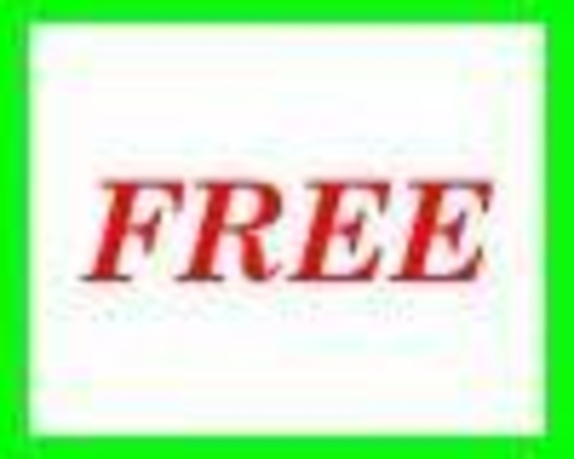 Click 24" (600mm) Wire Whip/Bird Nest Remover