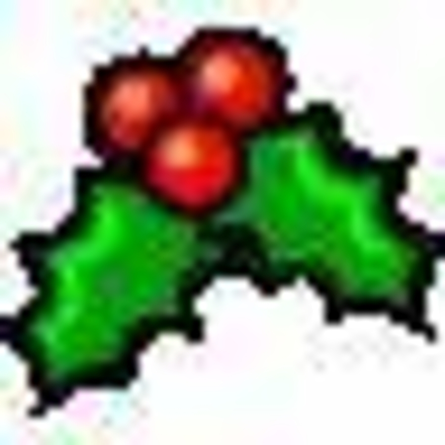 Click 24" (600mm) Wire Whip/Bird Nest Remover