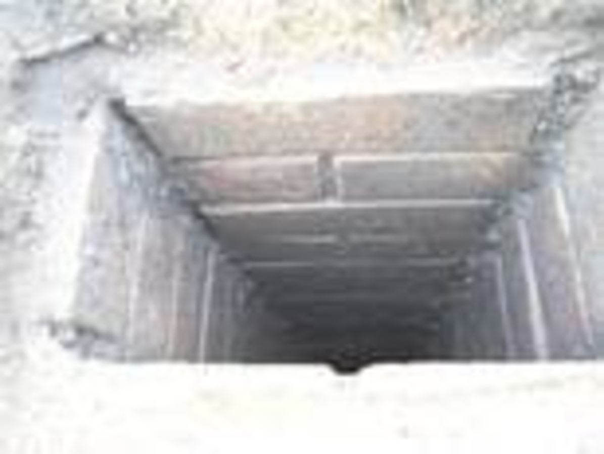 Click 24" (600mm) Wire Whip/Bird Nest Remover