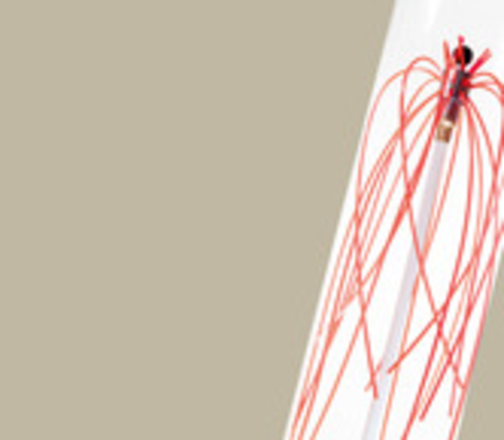 Click 24" (600mm) Wire Whip/Bird Nest Remover