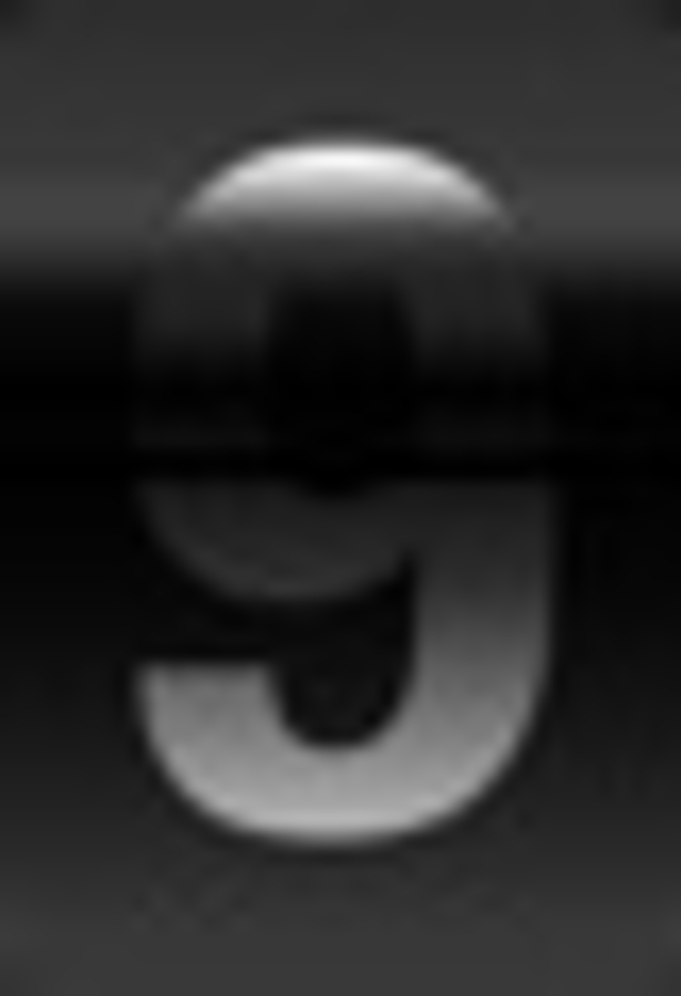 Click 24" (600mm) Wire Whip/Bird Nest Remover