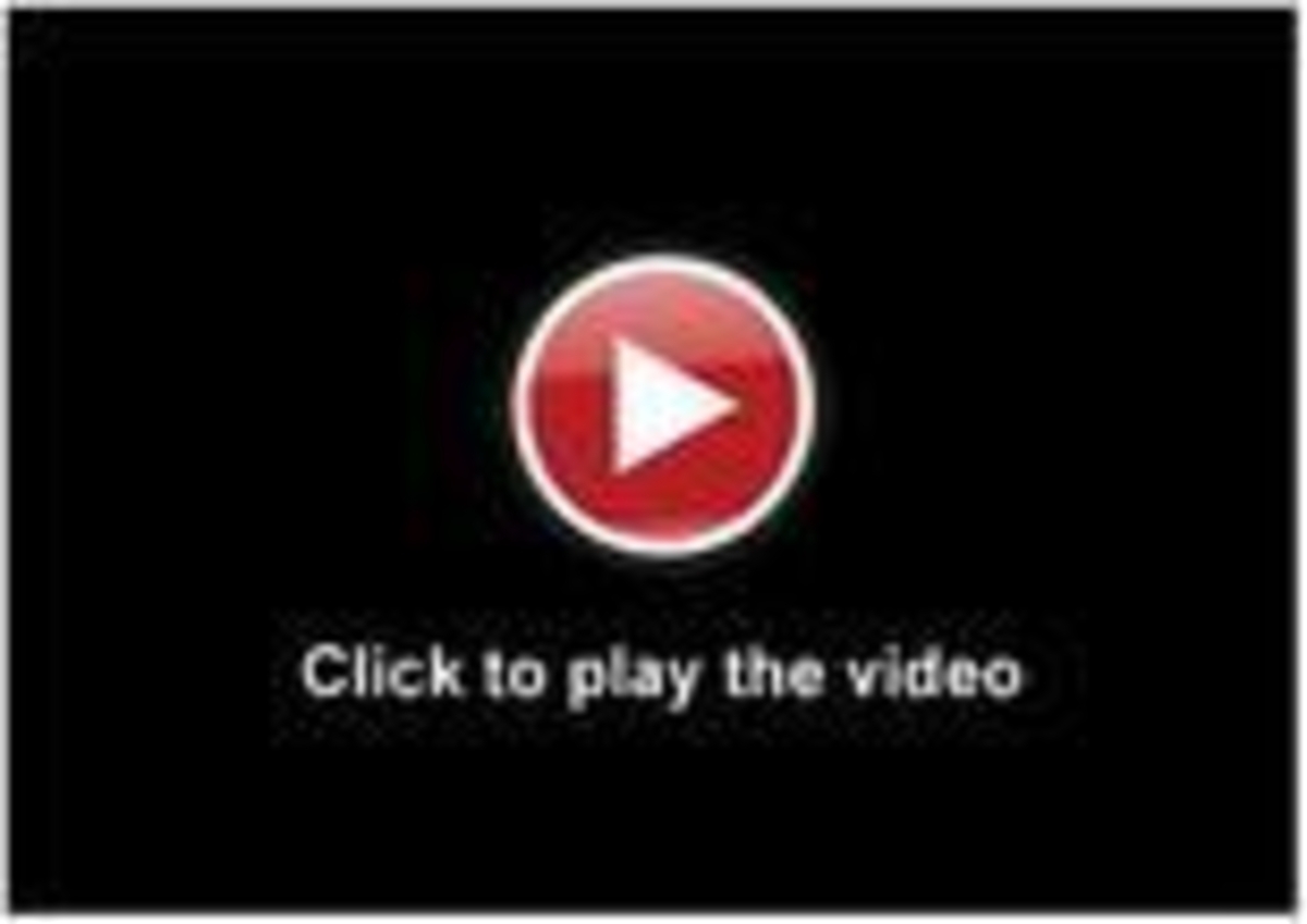 Click 24" (600mm) Wire Whip/Bird Nest Remover