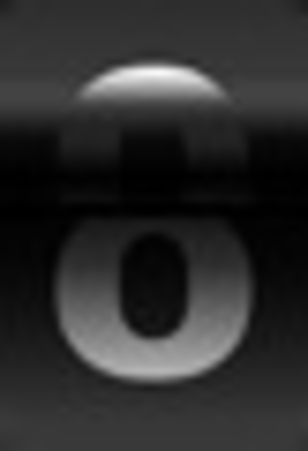 Click 24" (600mm) Wire Whip/Bird Nest Remover