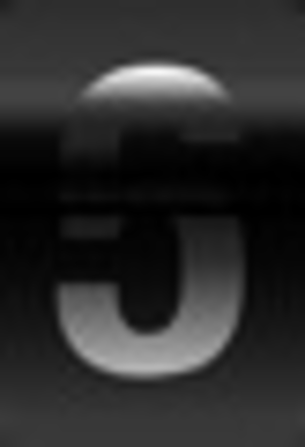 Click 24" (600mm) Wire Whip/Bird Nest Remover