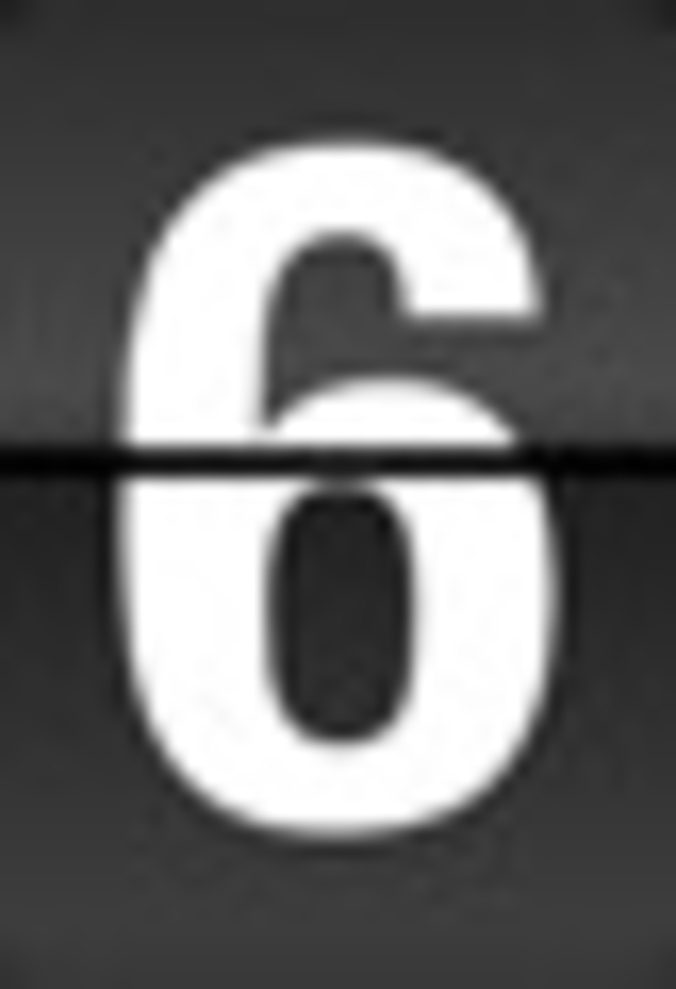 Click 24" (600mm) Wire Whip/Bird Nest Remover