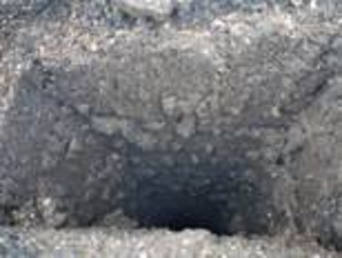 Click 24" (600mm) Wire Whip/Bird Nest Remover