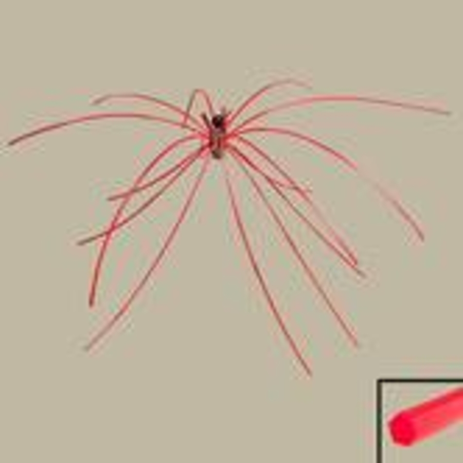 Click 24" (600mm) Wire Whip/Bird Nest Remover