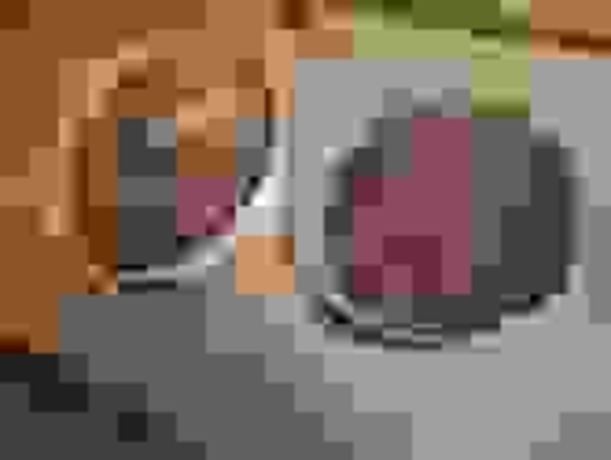 Click 24" (600mm) Wire Whip/Bird Nest Remover