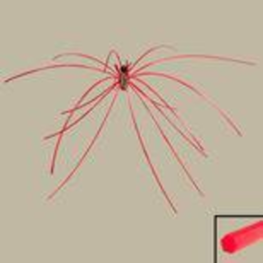 Click 24" (600mm) Wire Whip/Bird Nest Remover