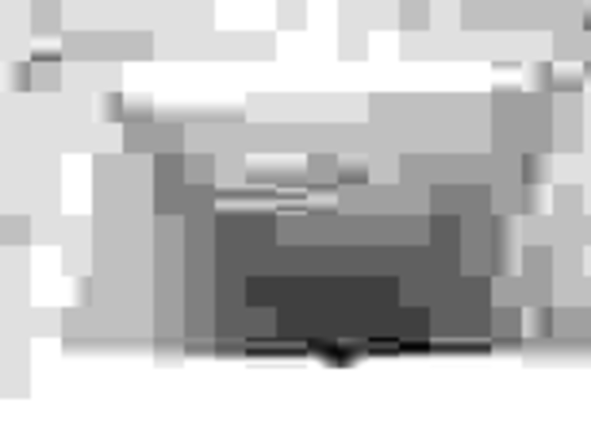 Click 24" (600mm) Wire Whip/Bird Nest Remover