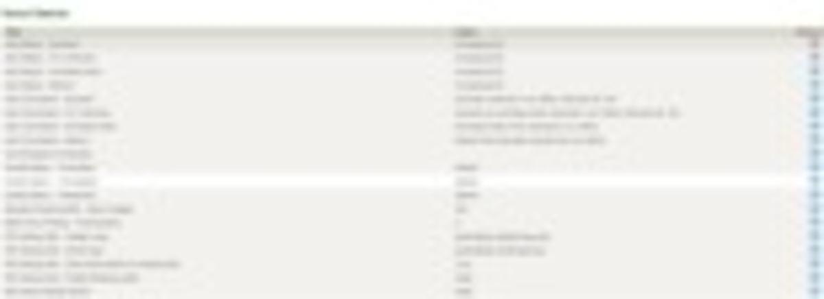 Click 24" (600mm) Wire Whip/Bird Nest Remover