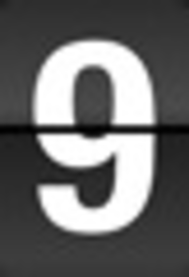 Click 24" (600mm) Wire Whip/Bird Nest Remover