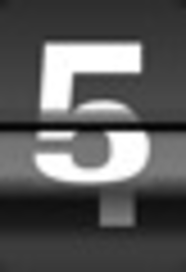 Click 24" (600mm) Wire Whip/Bird Nest Remover