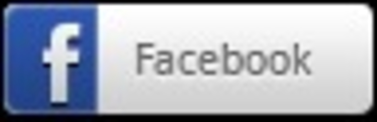 Click 24" (600mm) Wire Whip/Bird Nest Remover