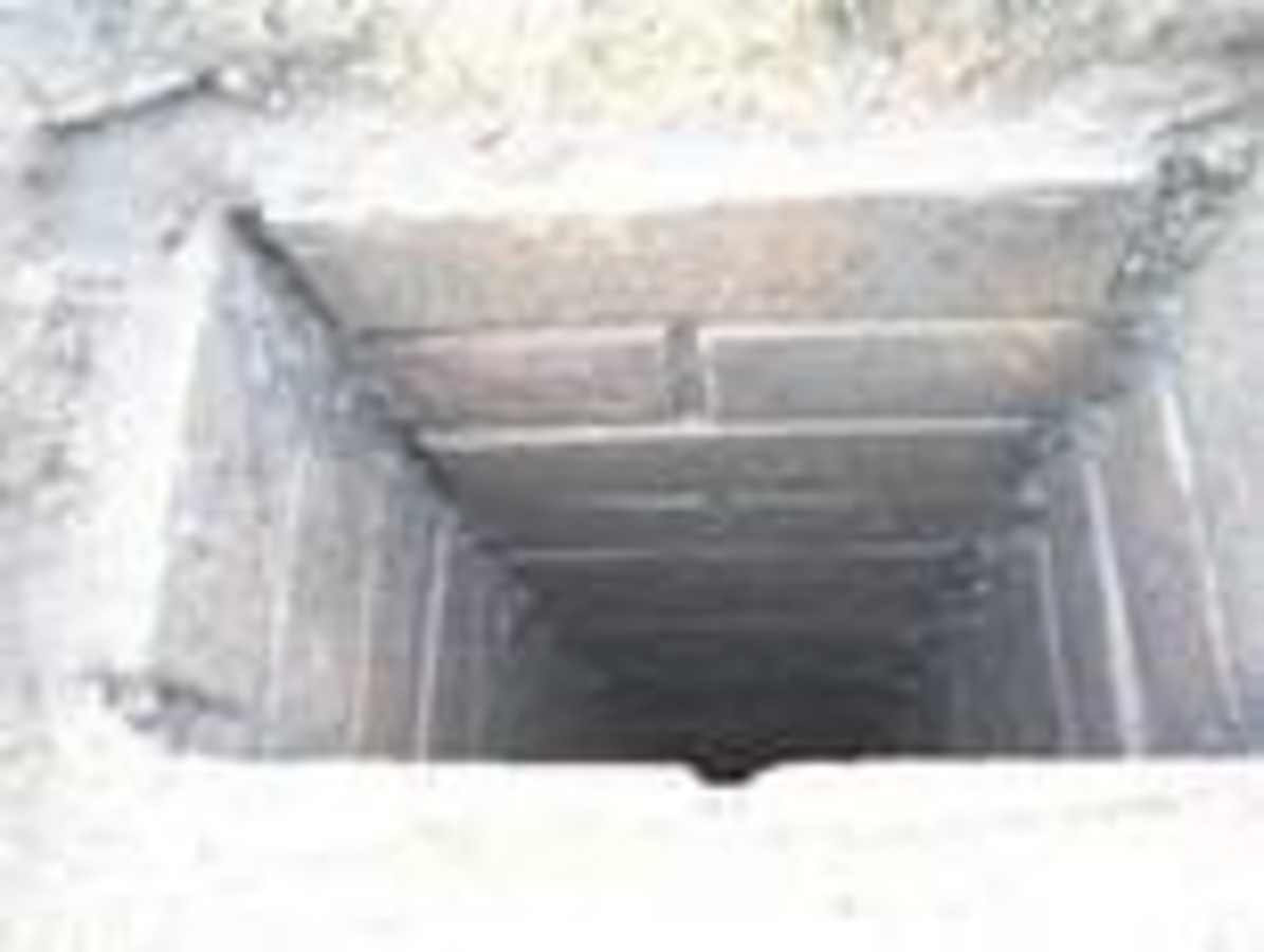 Click 24" (600mm) Wire Whip/Bird Nest Remover