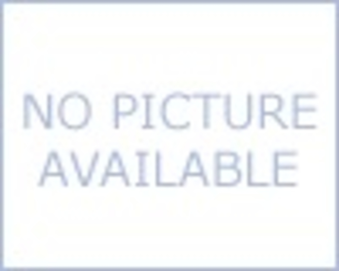 Click 24" (600mm) Wire Whip/Bird Nest Remover