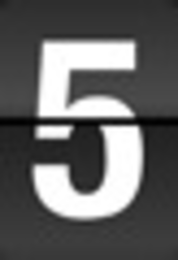 Click 24" (600mm) Wire Whip/Bird Nest Remover