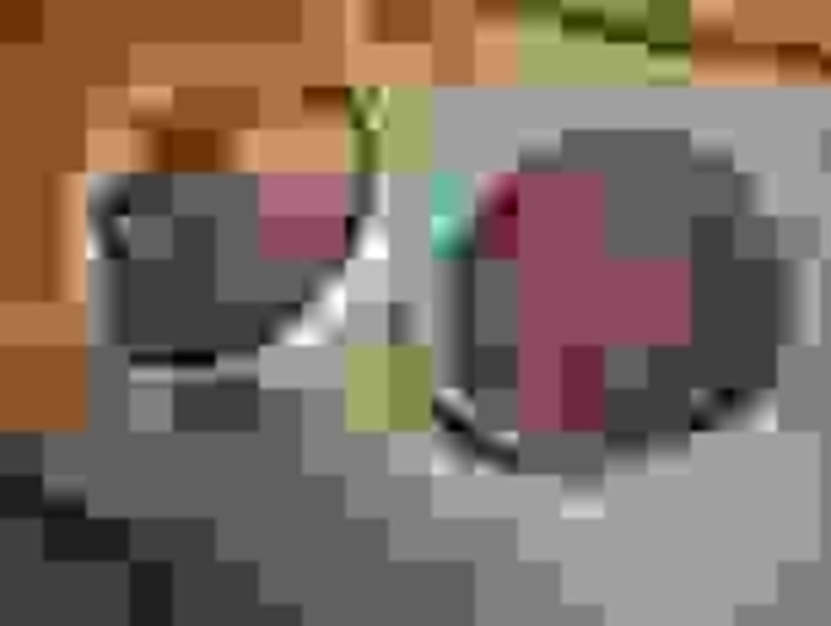 Click 24" (600mm) Wire Whip/Bird Nest Remover