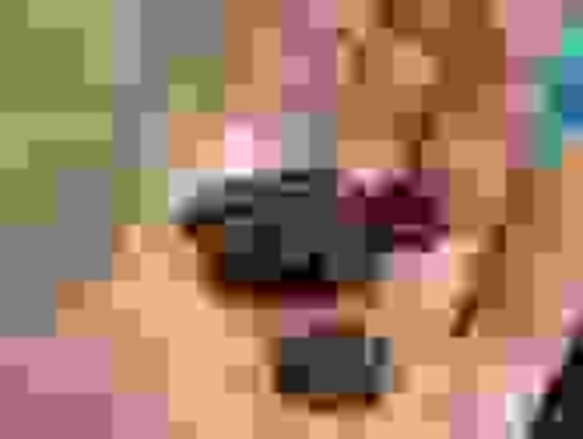 Click 24" (600mm) Wire Whip/Bird Nest Remover