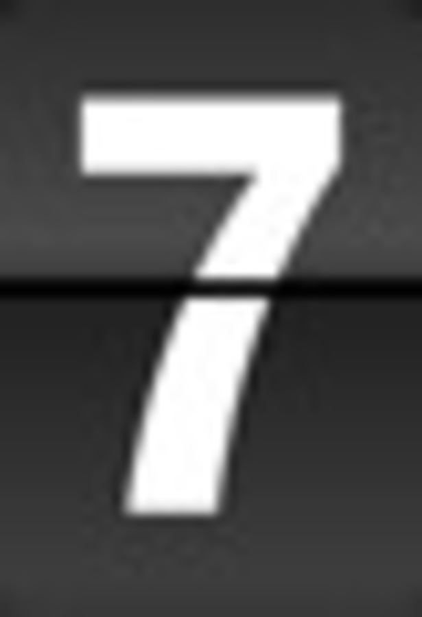 Click 24" (600mm) Wire Whip/Bird Nest Remover