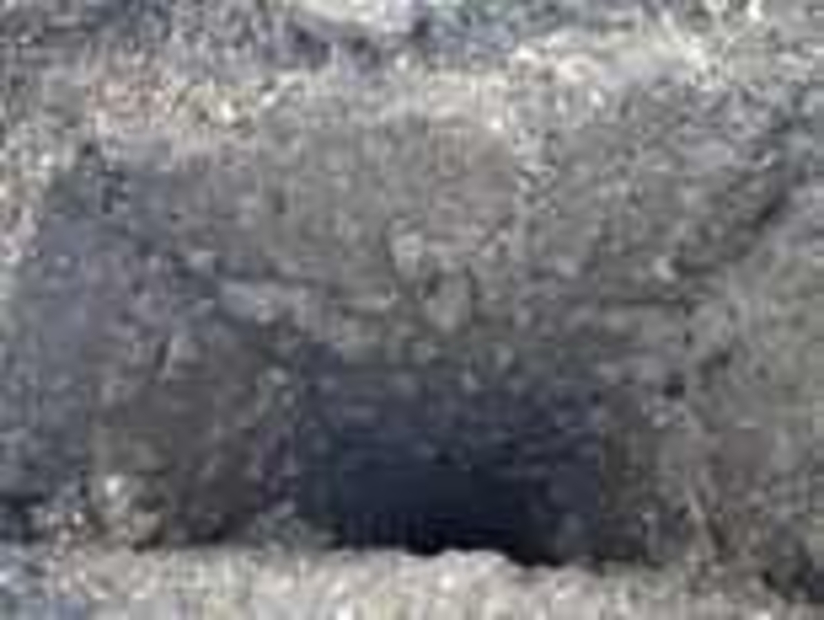 Click 24" (600mm) Wire Whip/Bird Nest Remover