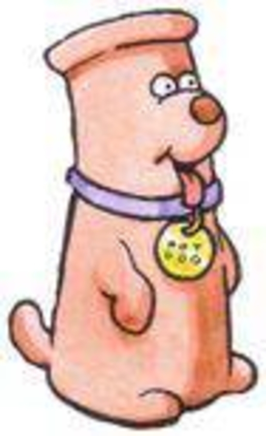 Click 24" (600mm) Wire Whip/Bird Nest Remover