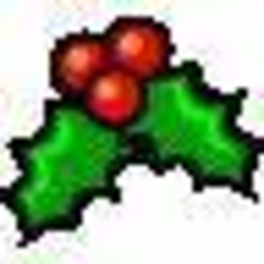 Click 24" (600mm) Wire Whip/Bird Nest Remover