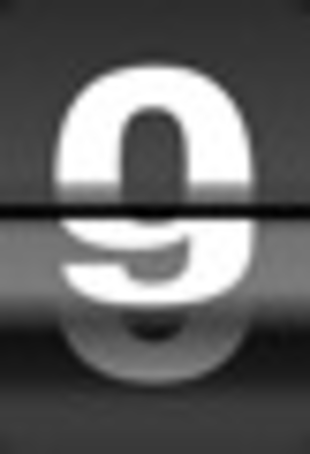 Click 24" (600mm) Wire Whip/Bird Nest Remover