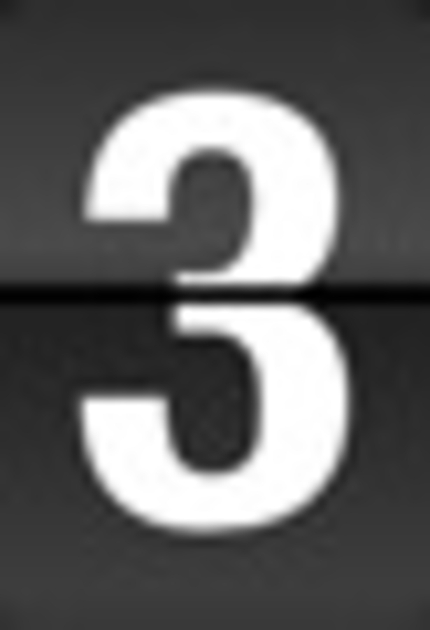 Click 24" (600mm) Wire Whip/Bird Nest Remover