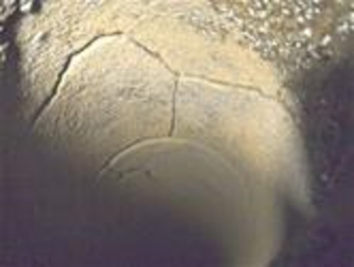 Click 24" (600mm) Wire Whip/Bird Nest Remover