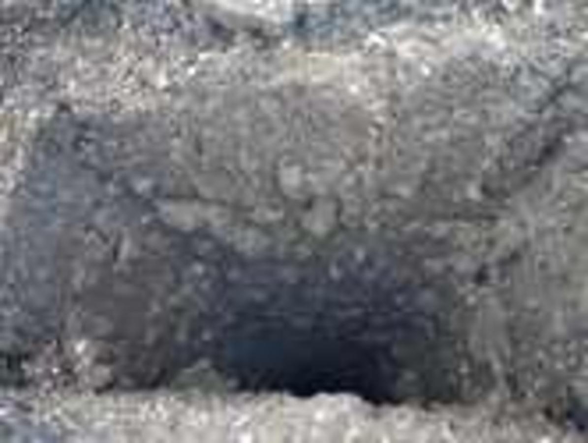 Click 24" (600mm) Wire Whip/Bird Nest Remover