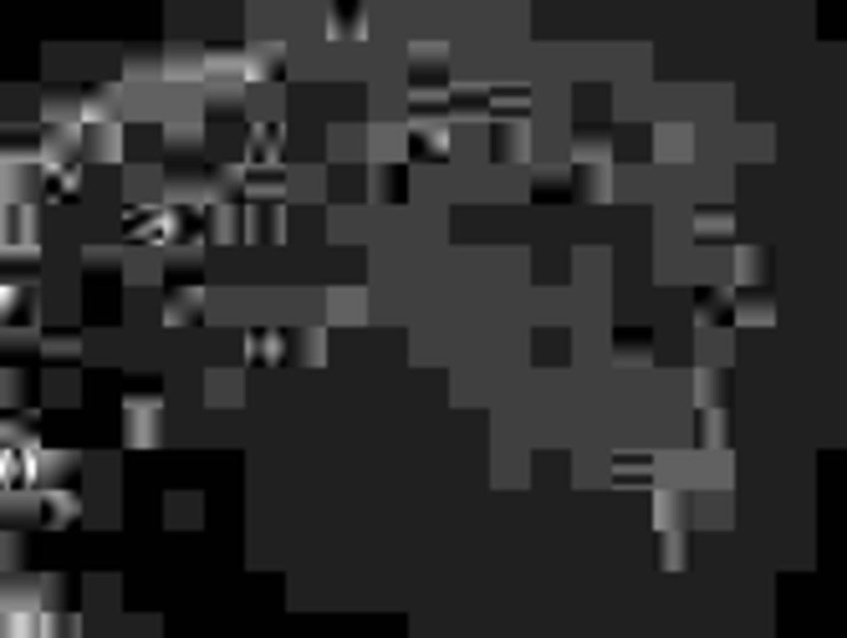 Click 24" (600mm) Wire Whip/Bird Nest Remover