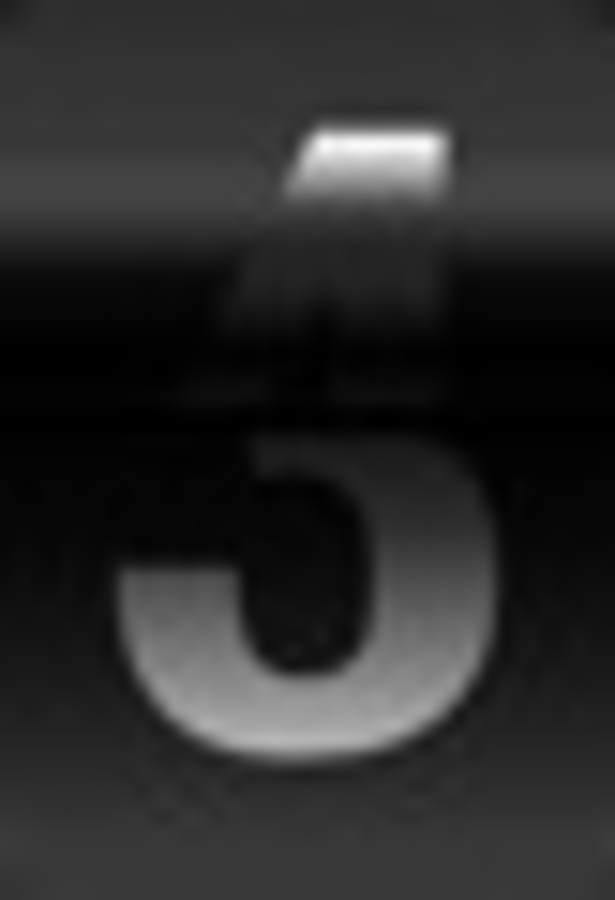 Click 24" (600mm) Wire Whip/Bird Nest Remover