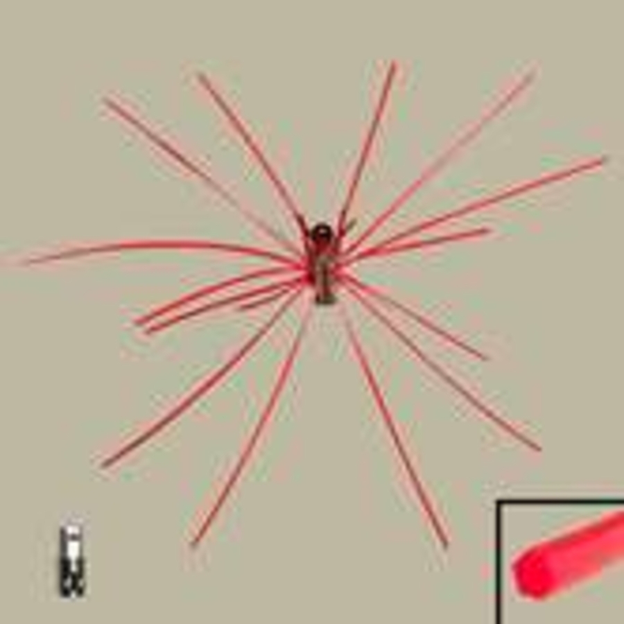 Click 24" (600mm) Wire Whip/Bird Nest Remover