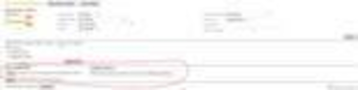 Click 24" (600mm) Wire Whip/Bird Nest Remover