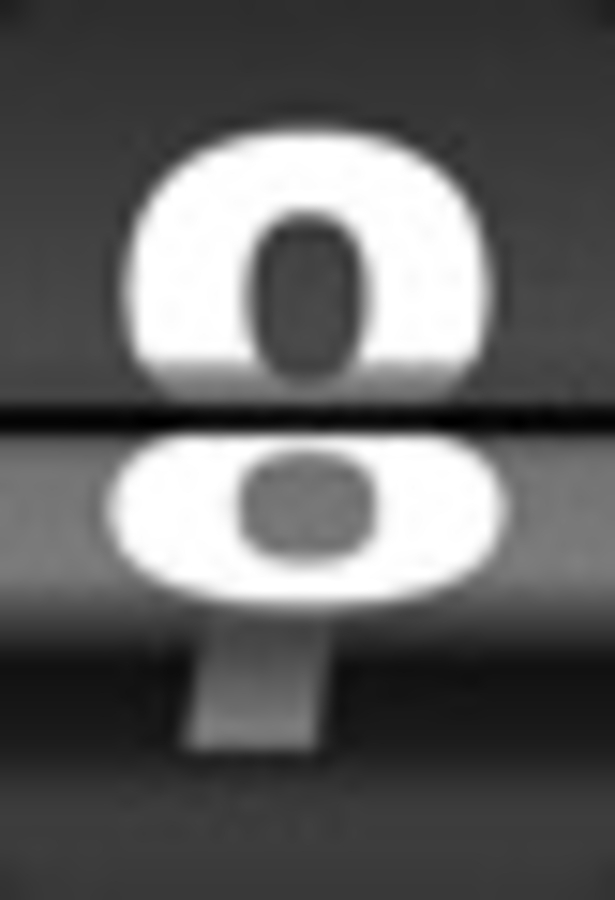 Click 24" (600mm) Wire Whip/Bird Nest Remover