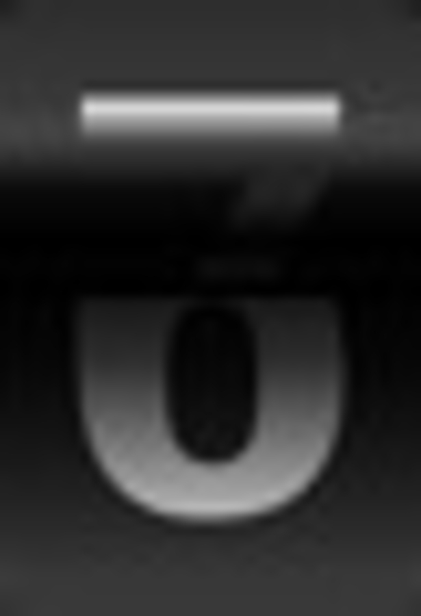 Click 24" (600mm) Wire Whip/Bird Nest Remover