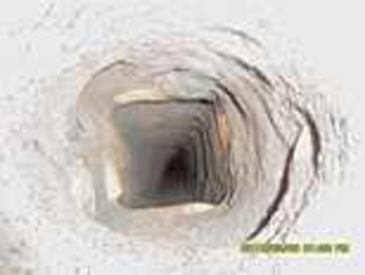 Click 24" (600mm) Wire Whip/Bird Nest Remover