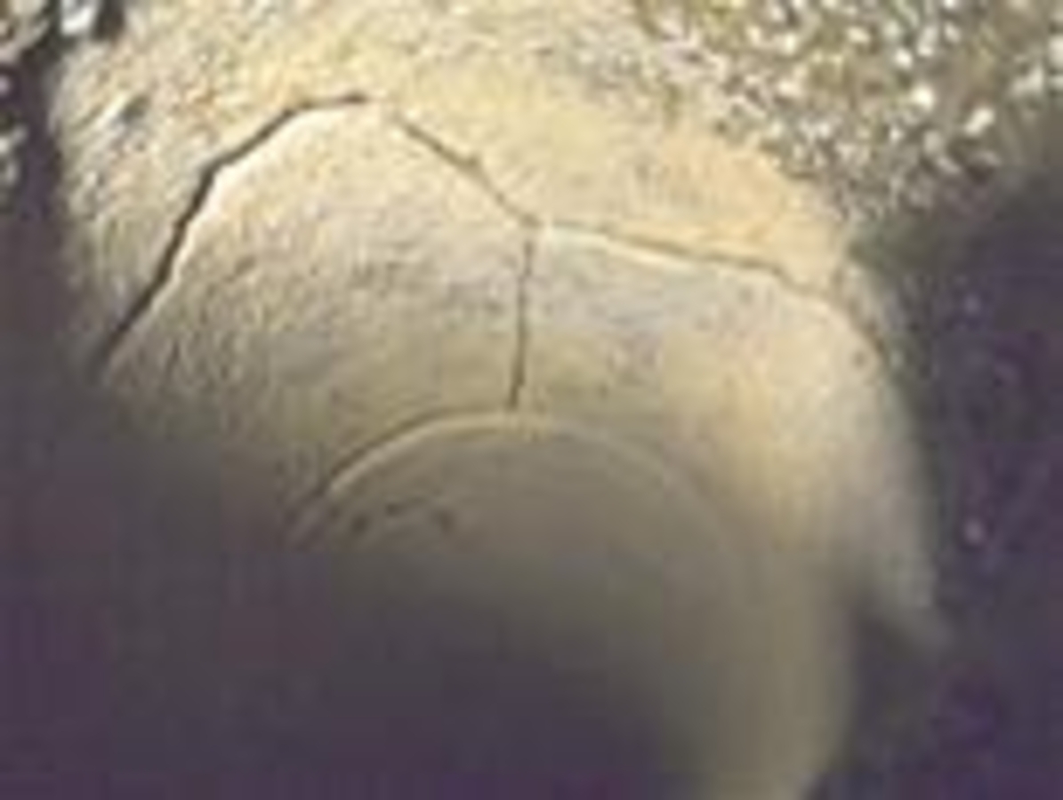 Click 24" (600mm) Wire Whip/Bird Nest Remover