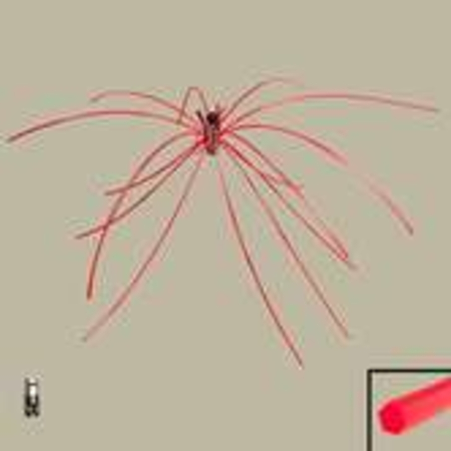 Click 24" (600mm) Wire Whip/Bird Nest Remover