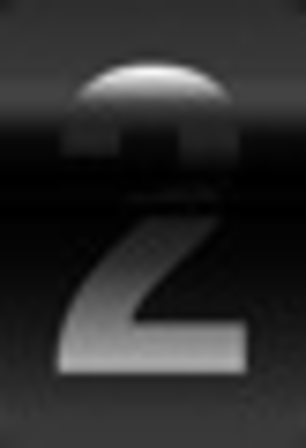 Click 24" (600mm) Wire Whip/Bird Nest Remover