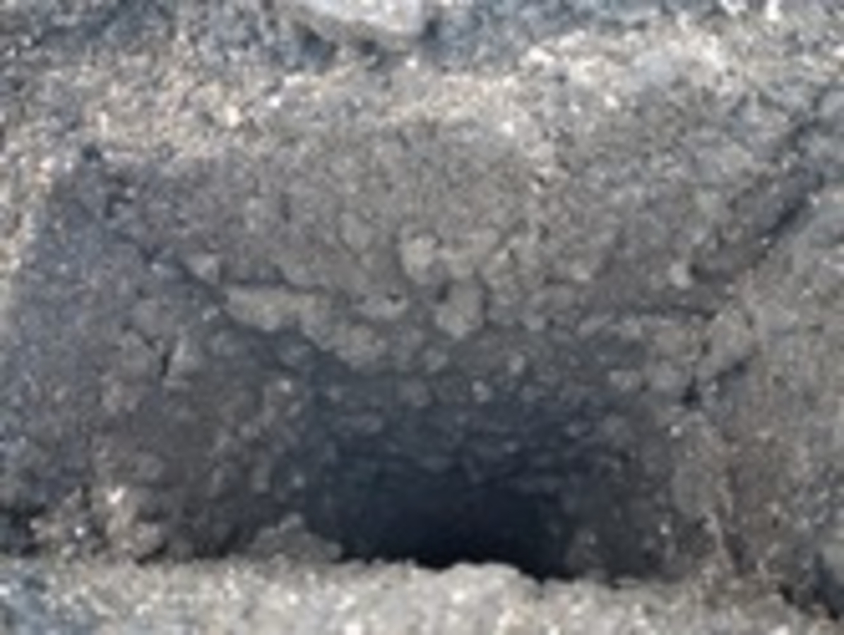 Click 24" (600mm) Wire Whip/Bird Nest Remover