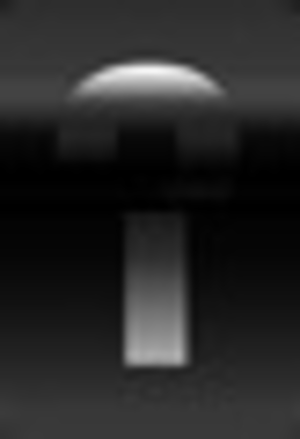 Click 24" (600mm) Wire Whip/Bird Nest Remover