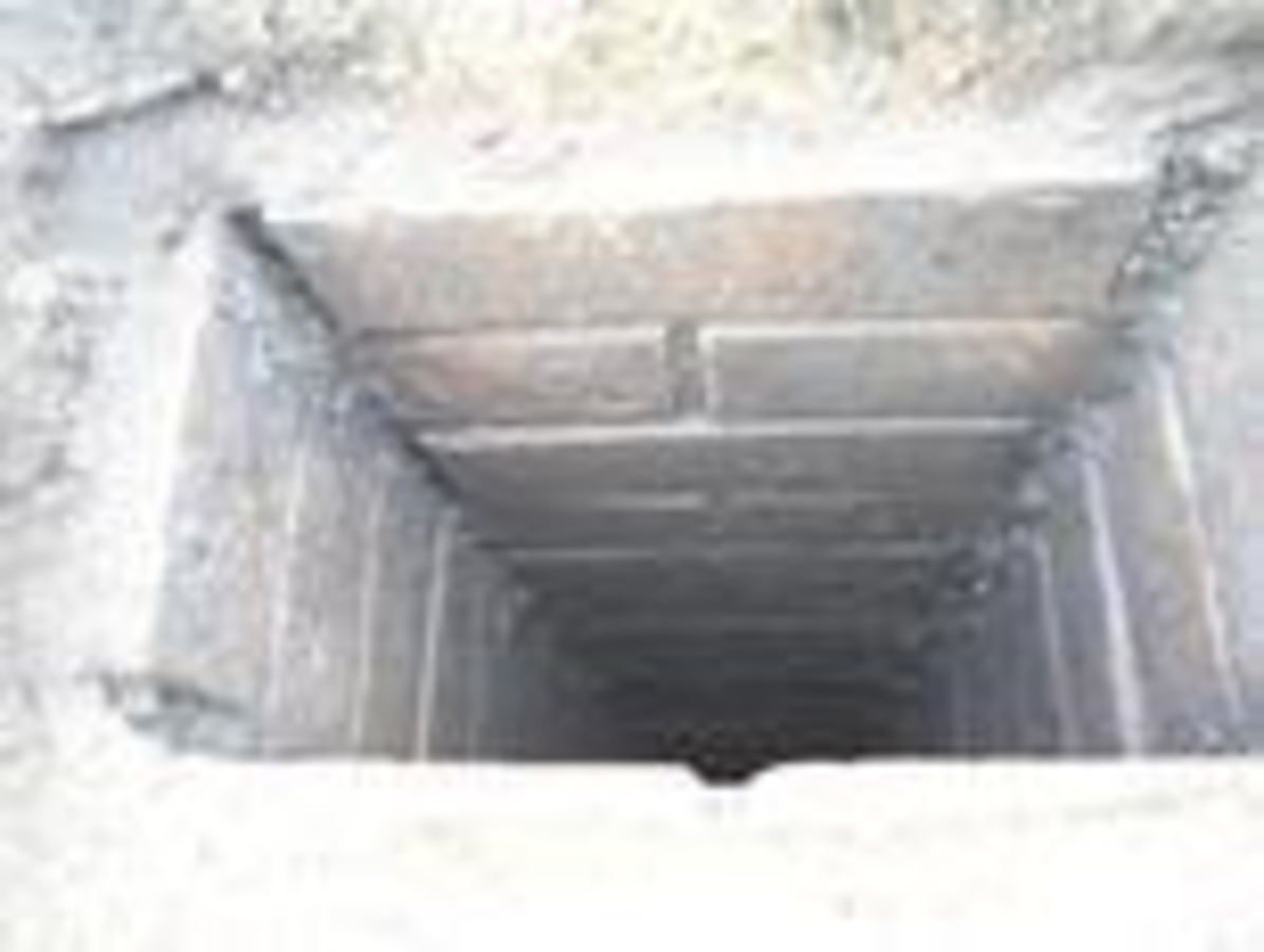 Click 24" (600mm) Wire Whip/Bird Nest Remover